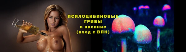 трава Абаза