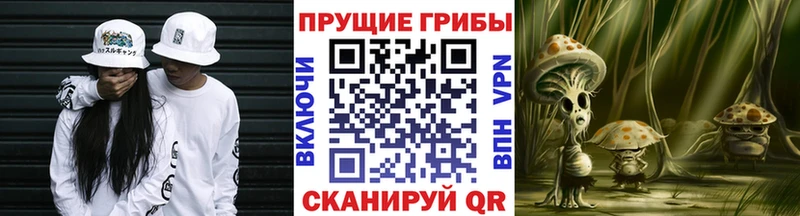 Псилоцибиновые грибы ЛСД  Тимашёвск 
